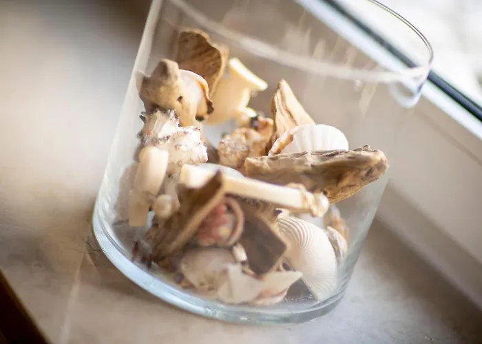 Ntbm36001-binnenseeblick * Neue Tiefe Fehmarn